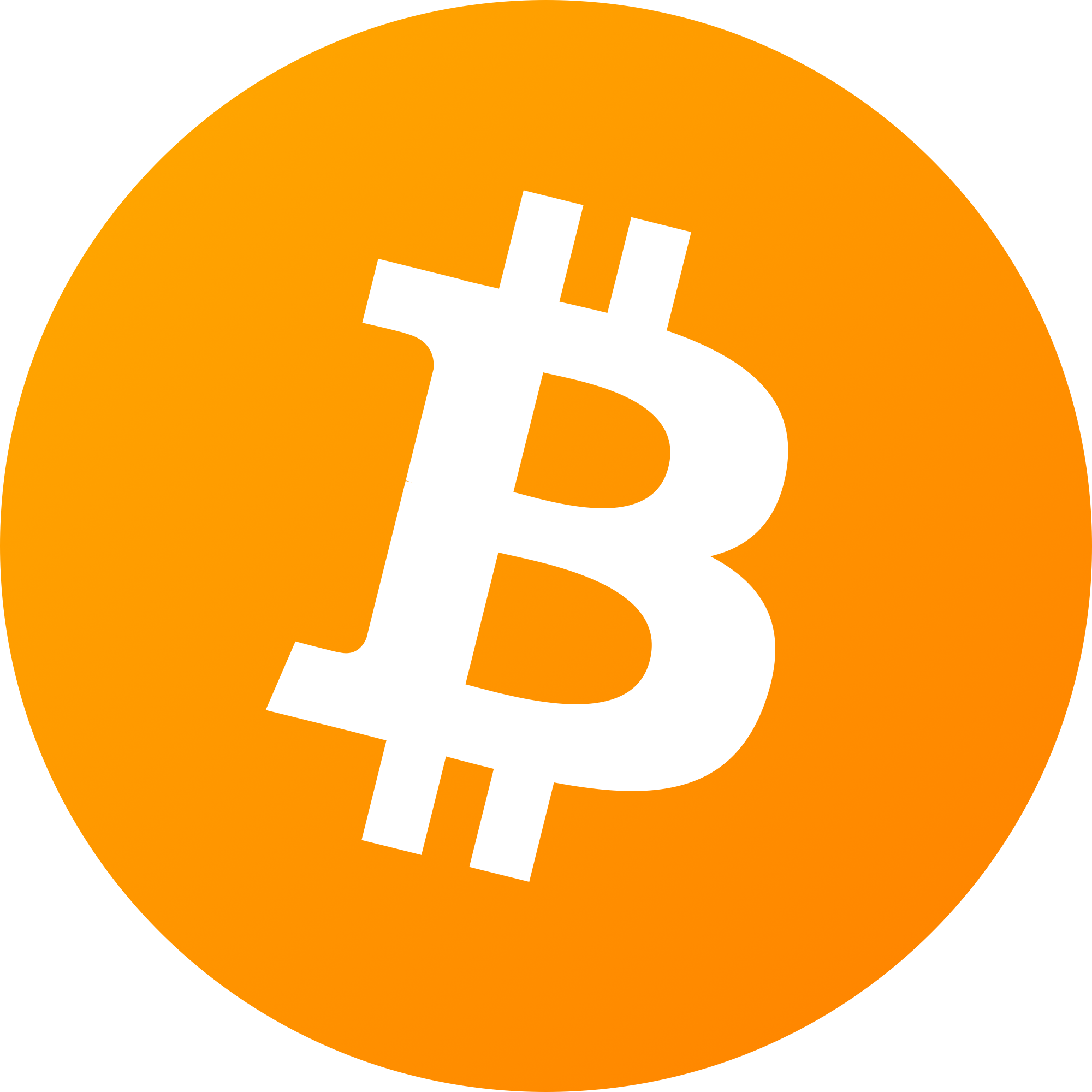 bitcoin logo